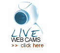 Live Hydra webcams
